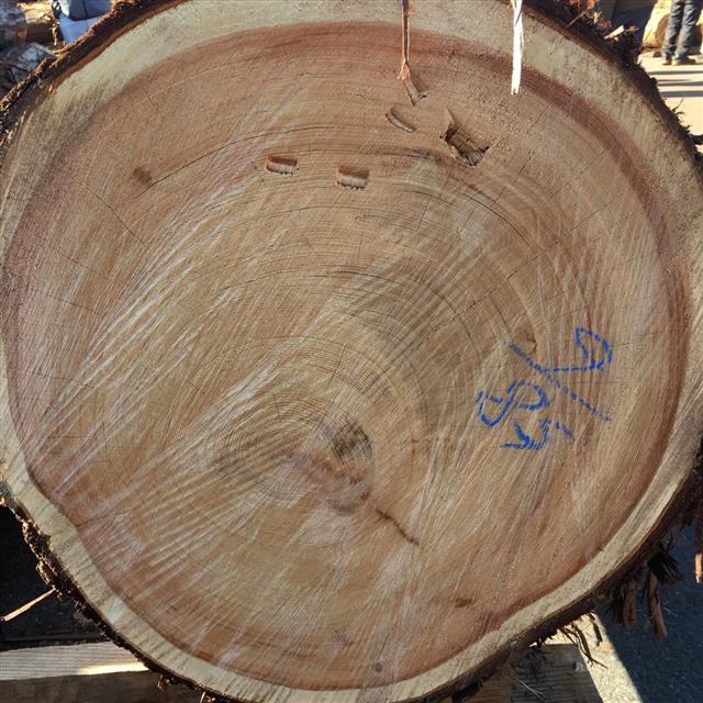 木のはなし 社寺建築材 無垢階段 枡なら東濃ひのきの株式会社トーホー